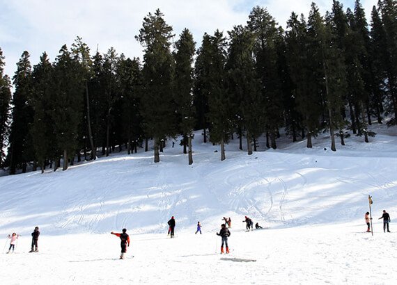Narkanda Shimla