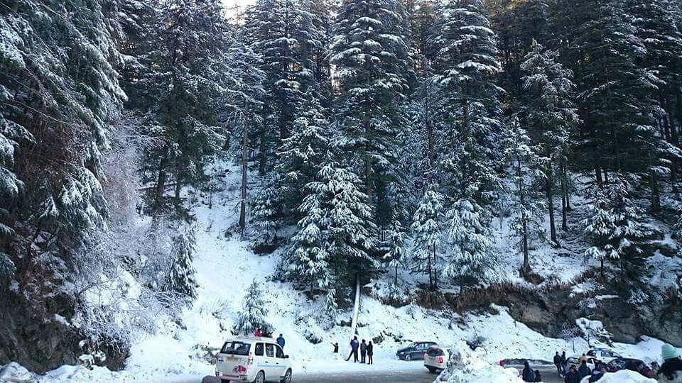 5 Star Resort Kufri Shimla During Snowfall