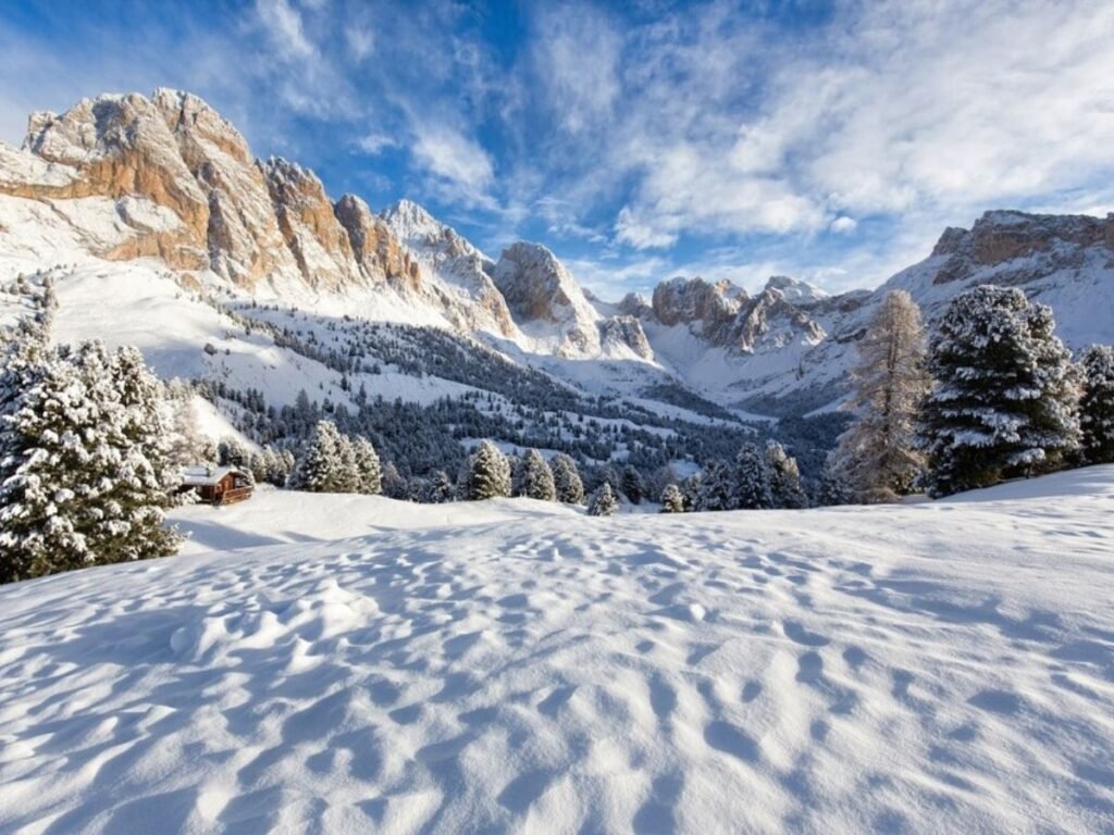 Snow-Covered Landscapes